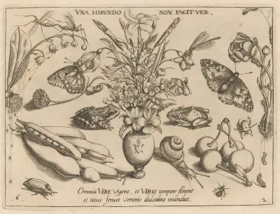 Archetypa studiaque patris Georgii Hoefnagelii Pl.21 av Joris Hoefnagel