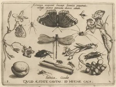 Archetypa studiaque patris Georgii Hoefnagelii Pl.24 av Joris Hoefnagel