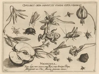 Archetypa studiaque patris Georgii Hoefnagelii Pl.27 av Joris Hoefnagel