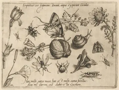 Archetypa studiaque patris Georgii Hoefnagelii Pl.28 av Joris Hoefnagel