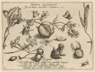 Archetypa studiaque patris Georgii Hoefnagelii Pl.44 av Joris Hoefnagel
