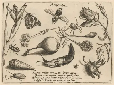 Archetypa studiaque patris Georgii Hoefnagelii Pl.46 av Joris Hoefnagel