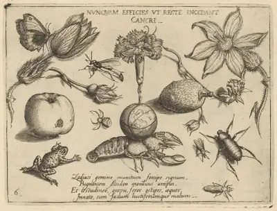 Archetypa studiaque patris Georgii Hoefnagelii, pl. 47 av Joris Hoefnagel