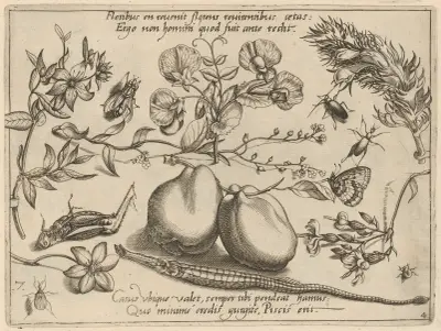 Archetypa studiaque patris Georgii Hoefnagelii Pl.48 av Joris Hoefnagel