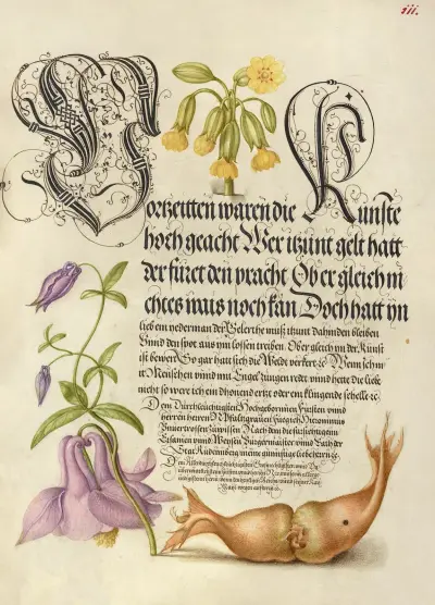 Cowslip, European Columbine, and Giant Filbert av Joris Hoefnagel