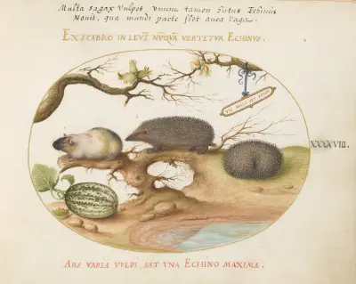 Guinea Pig and Hedgehogs with Melon and Cobnuts av Joris Hoefnagel
