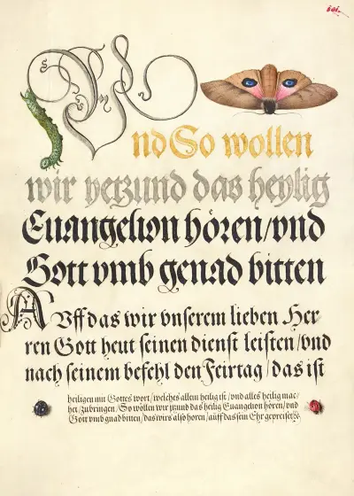 Horntail Caterpillar, Eyed Hawk-Moth, Beetle, Two-Spot Ladybird av Joris Hoefnagel