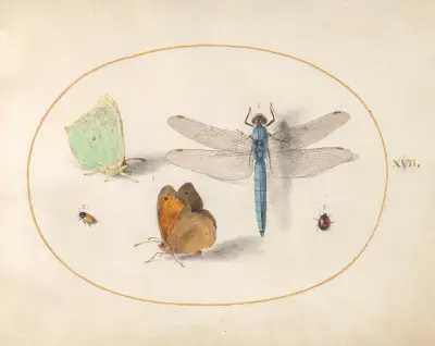 Plate 17; Brimstone and Meadow Brown Butterflies, a Blue Chaser, and Two Small Insects av Joris Hoefnagel