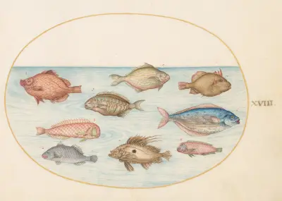 Plate 18; Boarfish, Razorfish, Butterfish, a John Dory, and Other Fish av Joris Hoefnagel