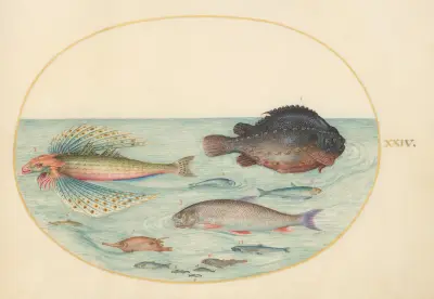 Plate 24; Flying Swallow Gurnard, Male Lumpsucker, Longspine Snipefish, and Other Fish av Joris Hoefnagel