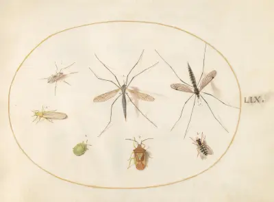 Plansch 59; Sju insekter, bland annat en hagtornssköldpadda, harkrankar och en blomfluga av Joris Hoefnagel