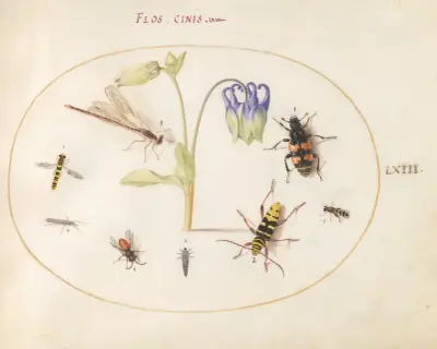 Plate 63; A Dragonfly, a Spotted Longhorn, a Sexton Beetle, and Other Insects with a Blue and White Columbine av Joris Hoefnagel