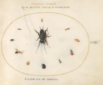 Blad 65; En syrsa omgiven av insekter, bland annat en rubinstjärtad geting av Joris Hoefnagel