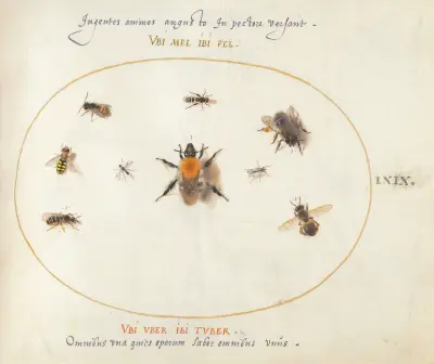 Blad 69; nio bin och andra insekter av Joris Hoefnagel