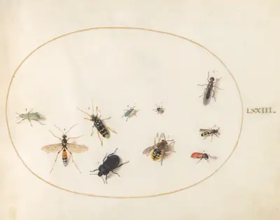 Tavla 73; Tio insekter av Joris Hoefnagel