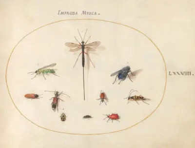 Plansch 78; tio insekter, inklusive en blå fluga av Joris Hoefnagel
