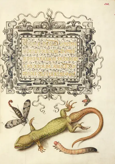 Scorpionfly, Insect, Lizard, and Insect Larva av Joris Hoefnagel