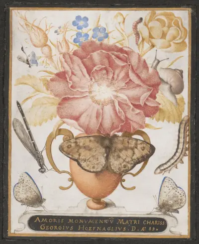 Stilleben med blommor, snäcka och insekter av Joris Hoefnagel