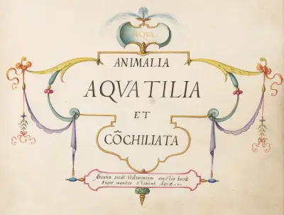 Title Page – Animalia Aqvatilia et Cochiliata (Aqva) av Joris Hoefnagel