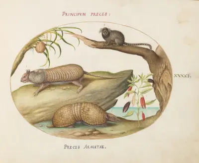 Two Types of Armadillos with a Marmoset, a Coconut Palm, and a Pepper Plant av Joris Hoefnagel