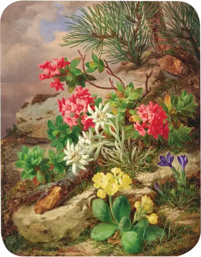 Alpenblumen av Josef Lauer