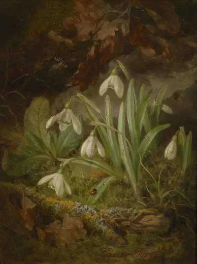 Waldbodenstück mit Schneeglöckchen av Josef Lauer