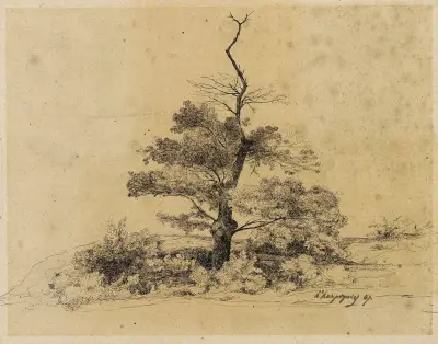 Trädstudie av Henri-Joseph Harpignies