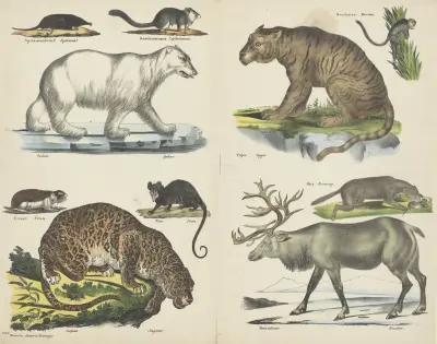 Dieren av Joseph Scholz