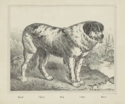 Dog av Joseph Scholz