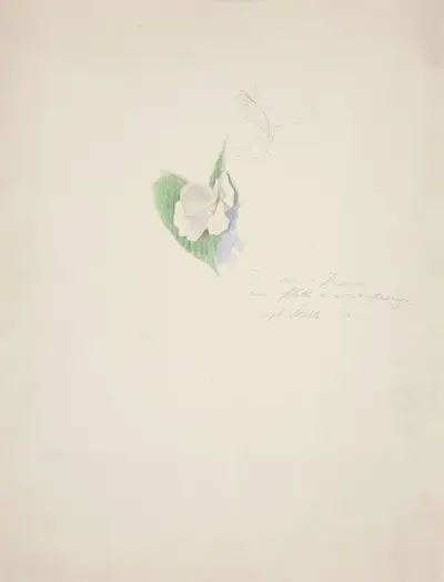 Blomma av Joseph Stella
