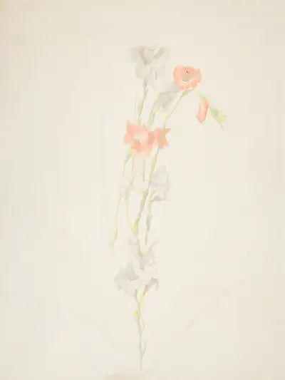 Blommor av Joseph Stella