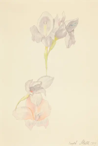 Gladioli av Joseph Stella