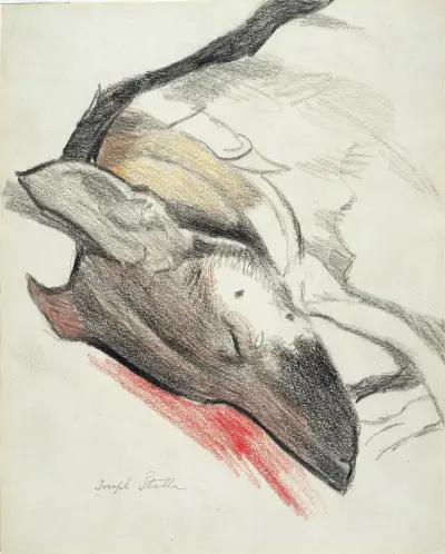 Sleeping Dog av Joseph Stella