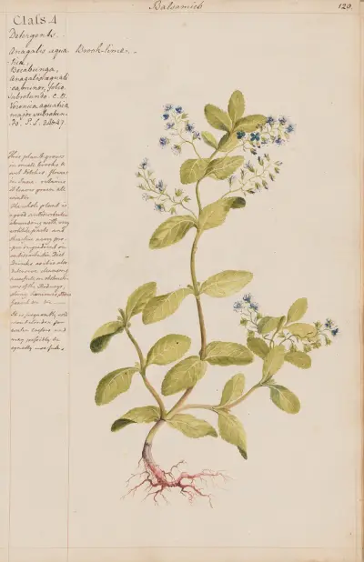 Potočník, Joshua Webster
