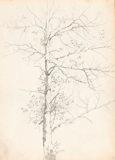 Birch av Jozef Brandt