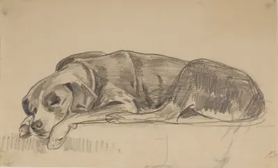 Sovande hund av Julian Falat