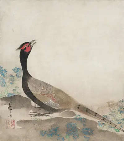 Pheasant av Ogata Kōrin