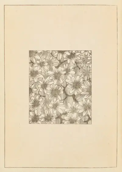 Shin-Bijutsukai Pl.054 av Furuya Kōrin