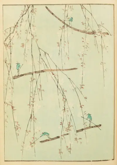 Shin-Bijutsukai Pl.145 av Furuya Kōrin