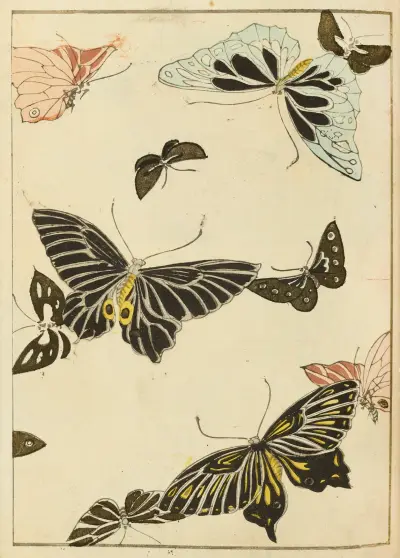 Shin-Bijutsukai Pl.157 av Furuya Kōrin
