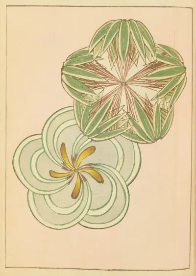 Shin-Bijutsukai Pl.163 av Furuya Kōrin