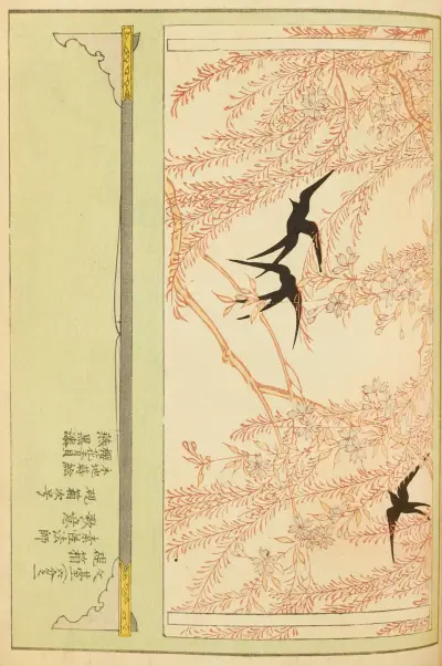 Shin-Bijutsukai Pl.167 av Furuya Kōrin