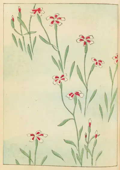 Shin-Bijutsukai Pl.239 av Furuya Kōrin
