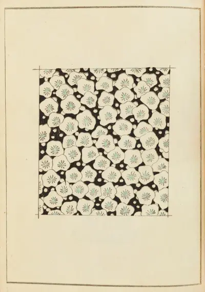 Shin-Bijutsukai Pl.251 av Furuya Kōrin