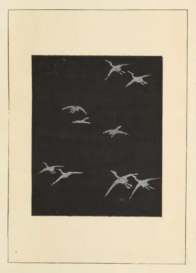 Shin-Bijutsukai Pl.284 av Furuya Kōrin