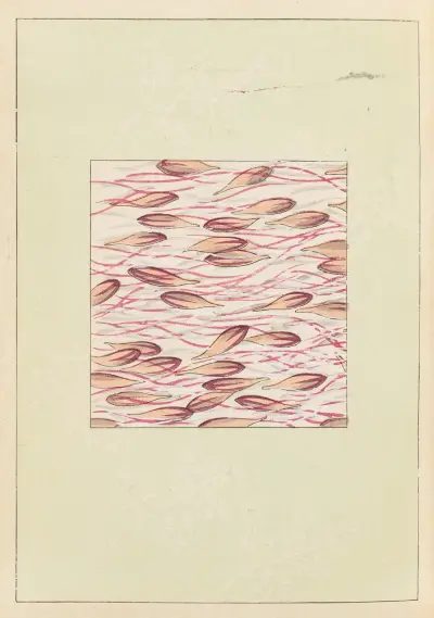 Shin-Bijutsukai Pl.311 av Furuya Kōrin