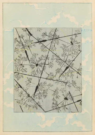 Shin-Bijutsukai Pl.325 av Furuya Kōrin