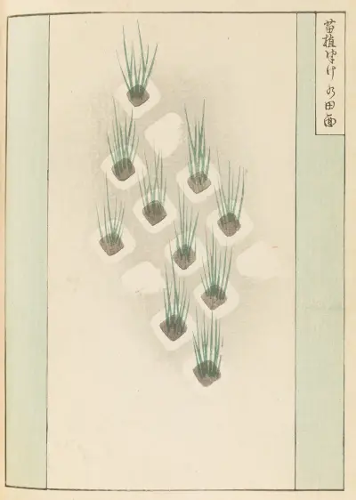 Shin-Bijutsukai Pl.370 av Furuya Kōrin