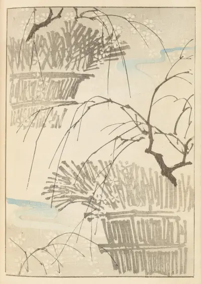 Shin-Bijutsukai Pl.382 av Furuya Kōrin