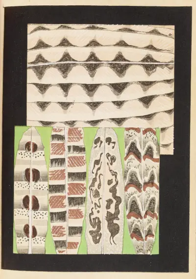 Shin-Bijutsukai Pl.398 av Furuya Kōrin
